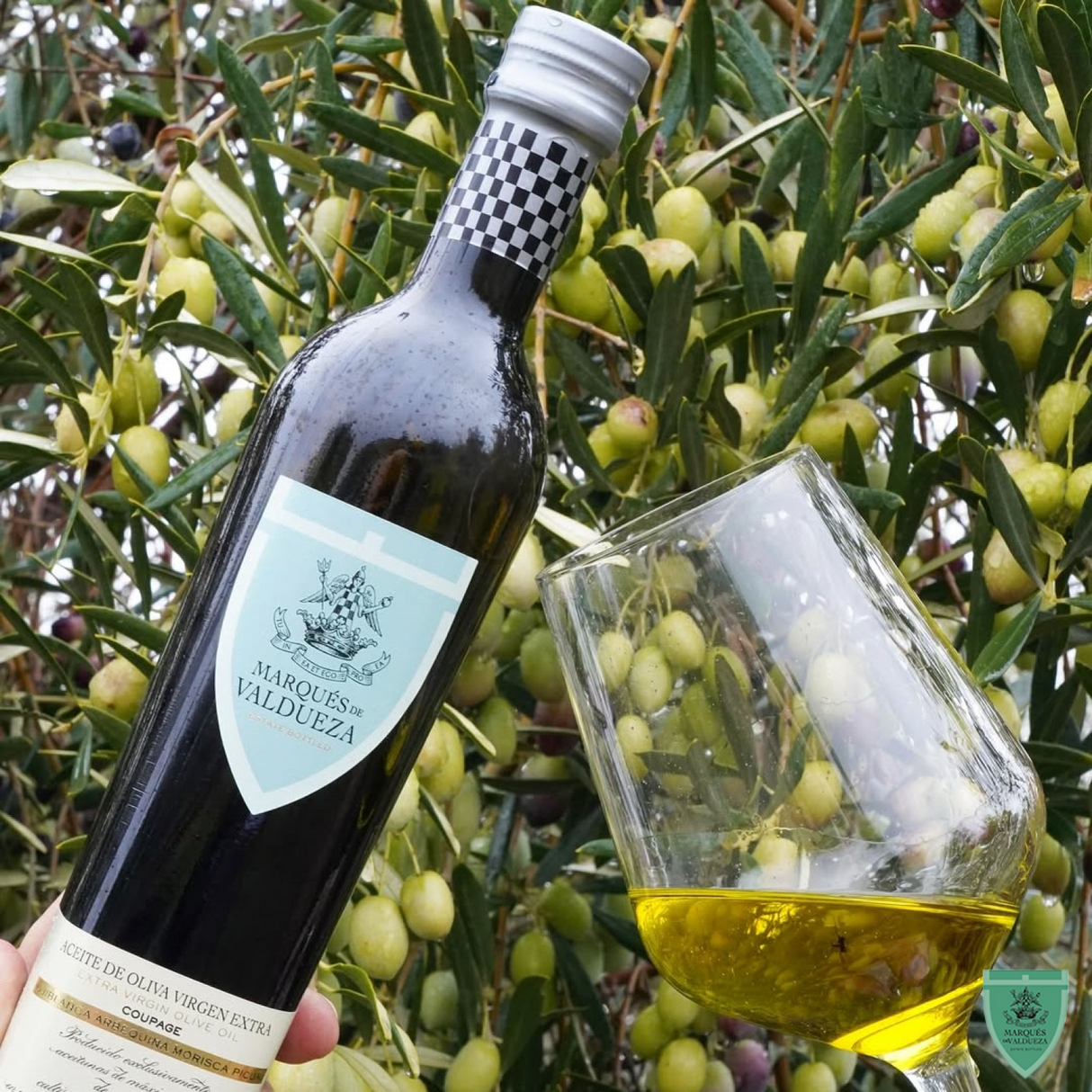 Olive Oil Extra Virgin
