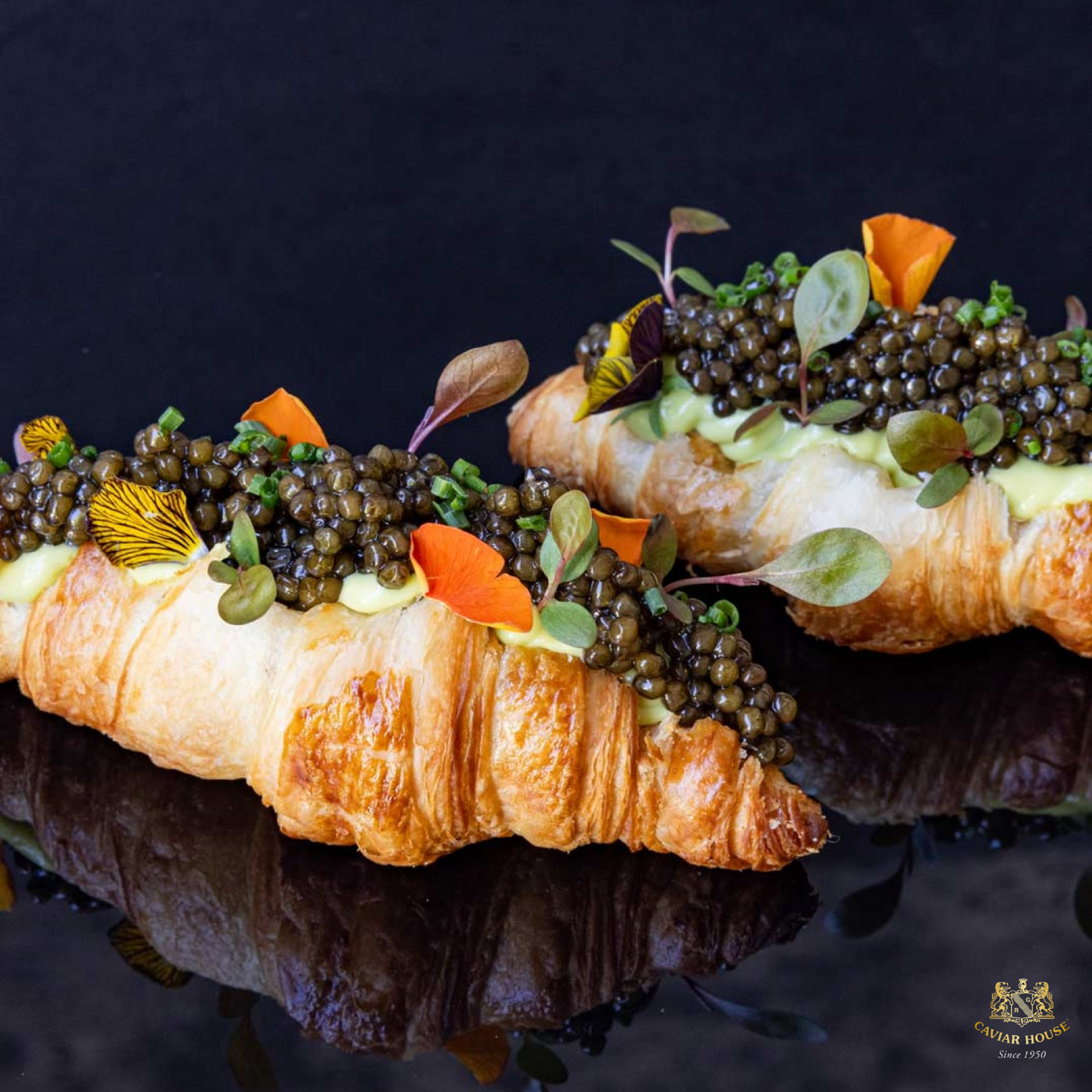 Caviar Oscietre Selection