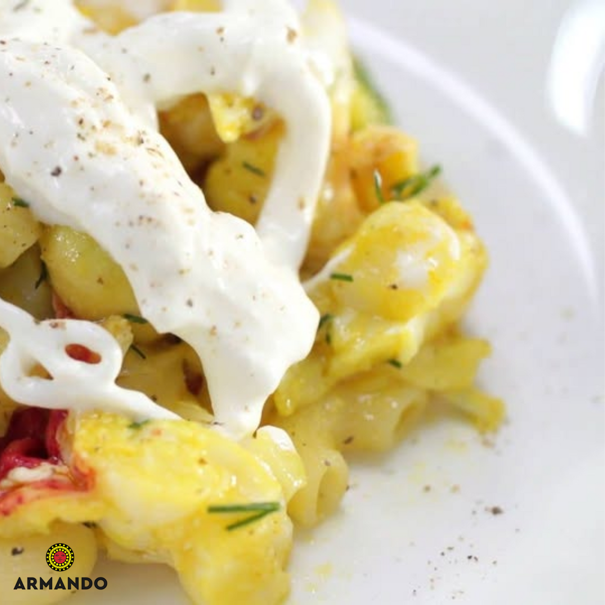 Pasta Chiffero (Elbow Shape) Gluten Free