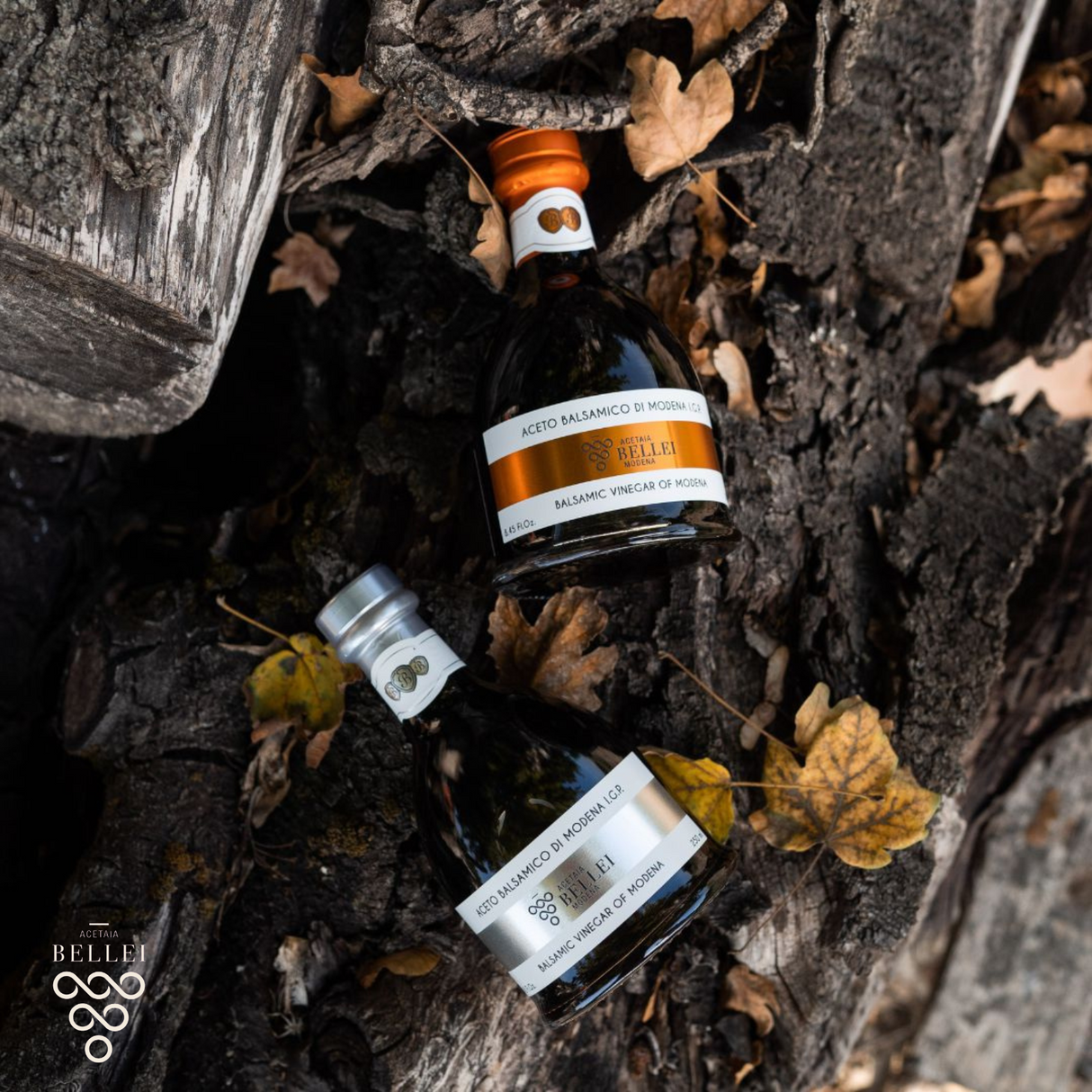 Balsamic Modena Aged Bell Gold