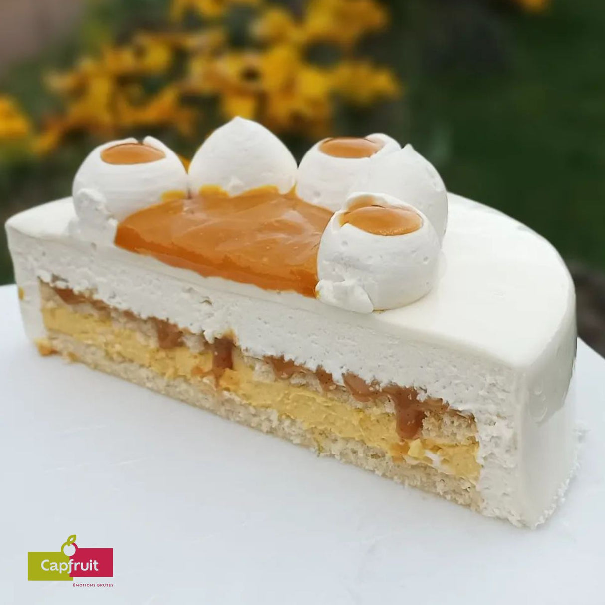 Puree Passion Fruit 100%