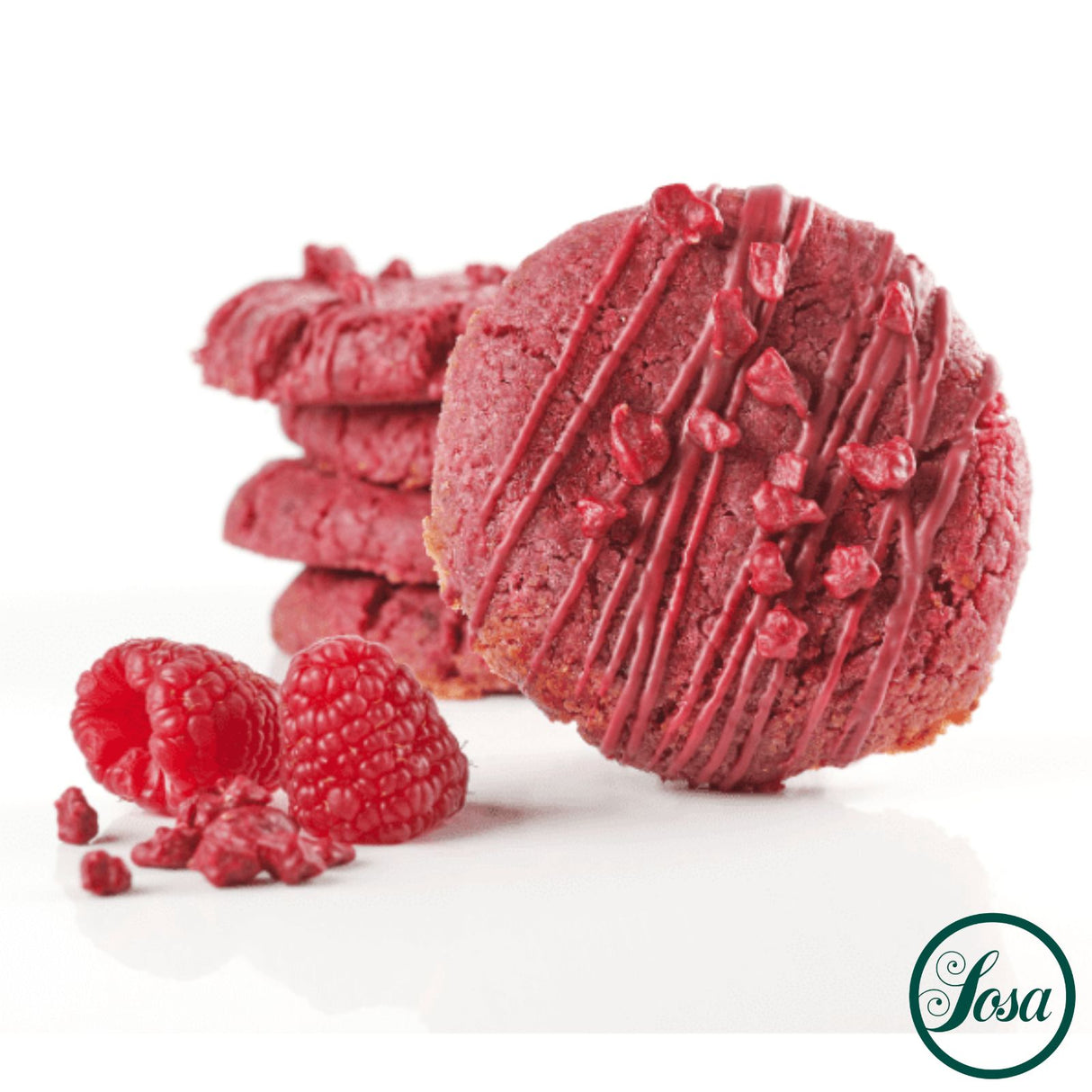 Freeze Dried Fruit Powder Raspberry