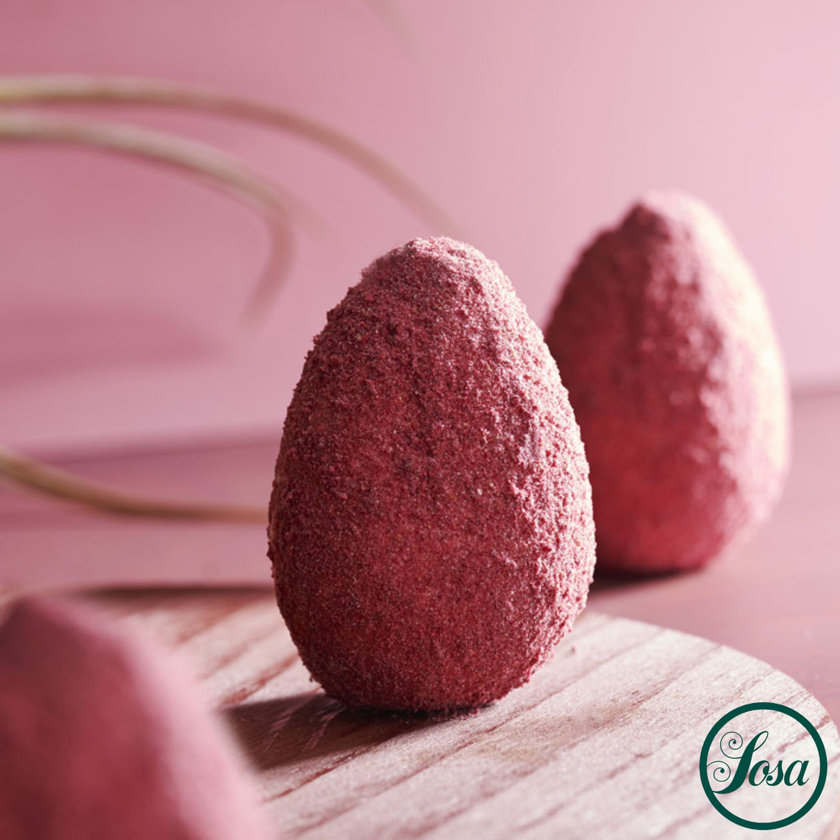 Freeze Dried Fruit Powder Raspberry