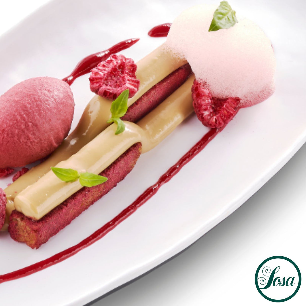 Freeze Dried Crispy Raspberry