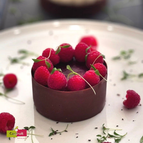 Puree Raspberry 100%