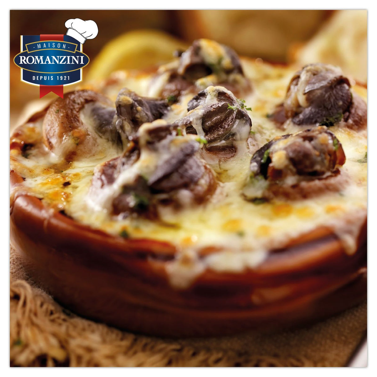 Snail Meat XL In Tin 72's