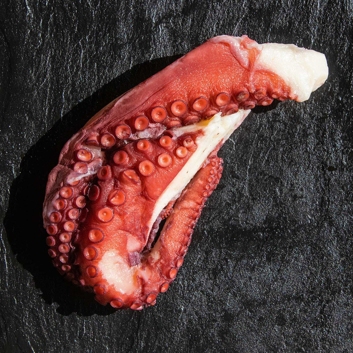 Octopus Leg No Glazing Large Cooked