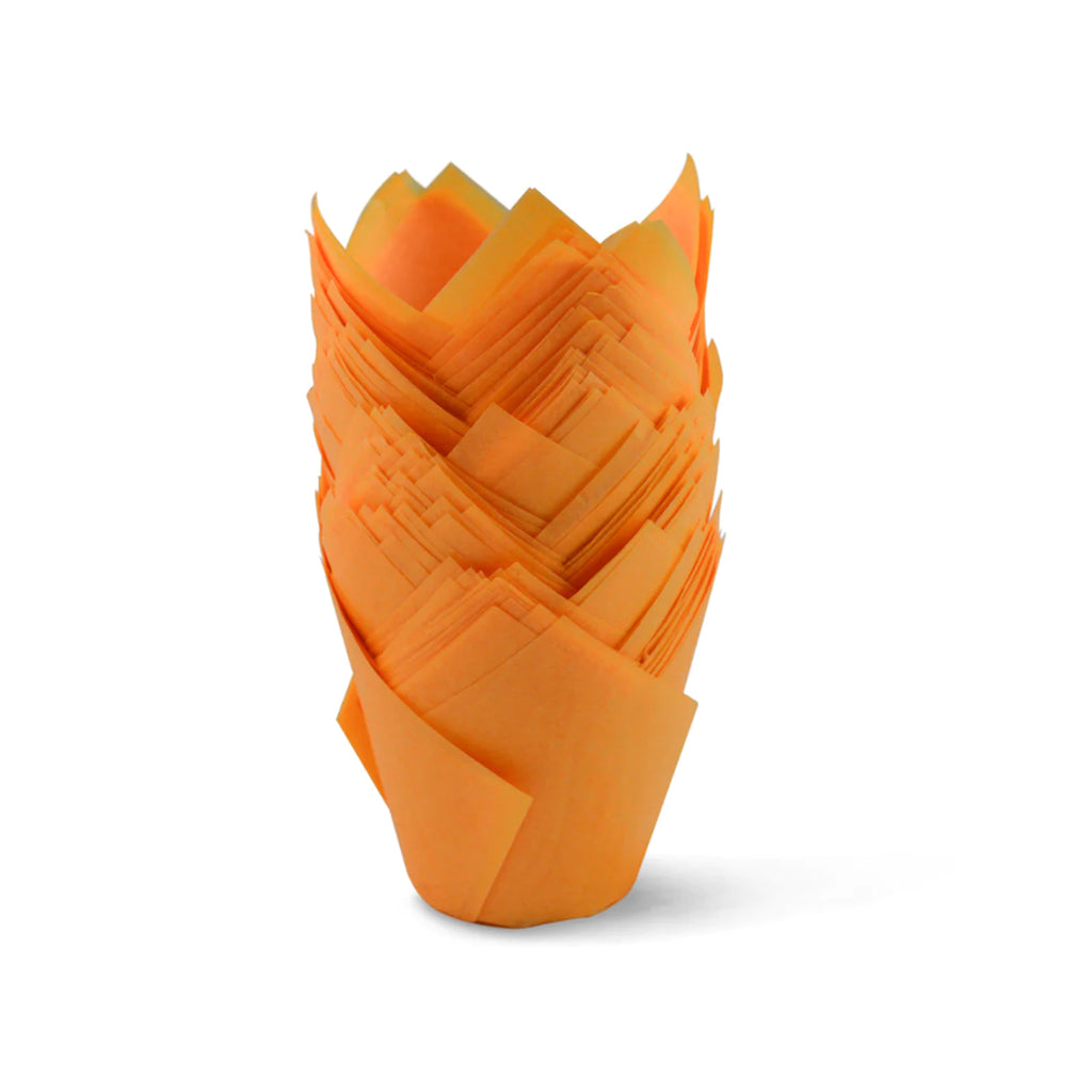 Tulipcup Paper Cup, Orange