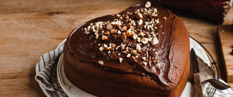 Chocolate Cake with Caotina