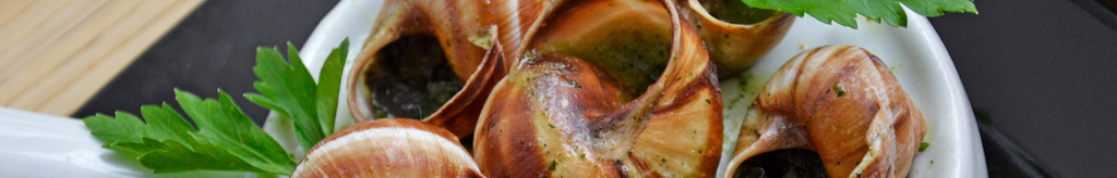 Escargot