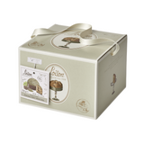 Frutta e Fiori Panettone Pistachio Matcha Gold