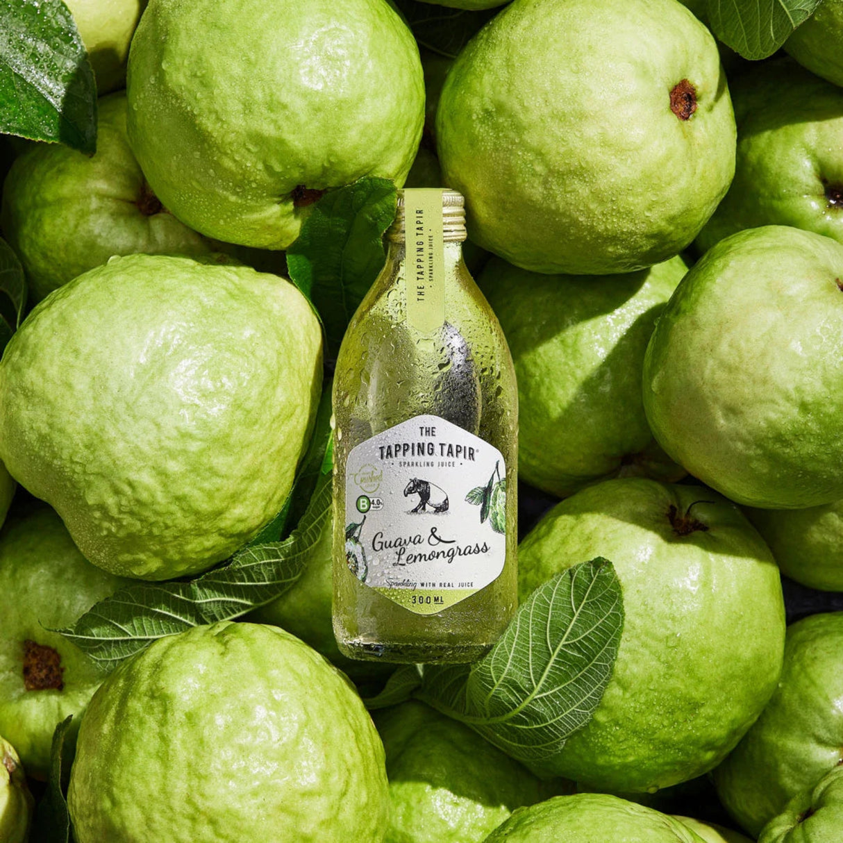 Tapping Tapir Sparkling Juice Guava & Lemongrass 300ml
