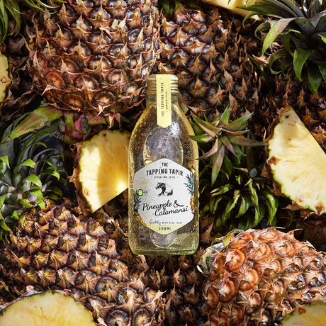 Tapping Tapir Sparkling Juice Pineapple & Calamansi 300ml