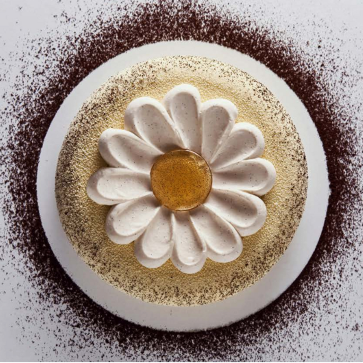 Organic Black Non-Split Madagascar Vanilla Bean 