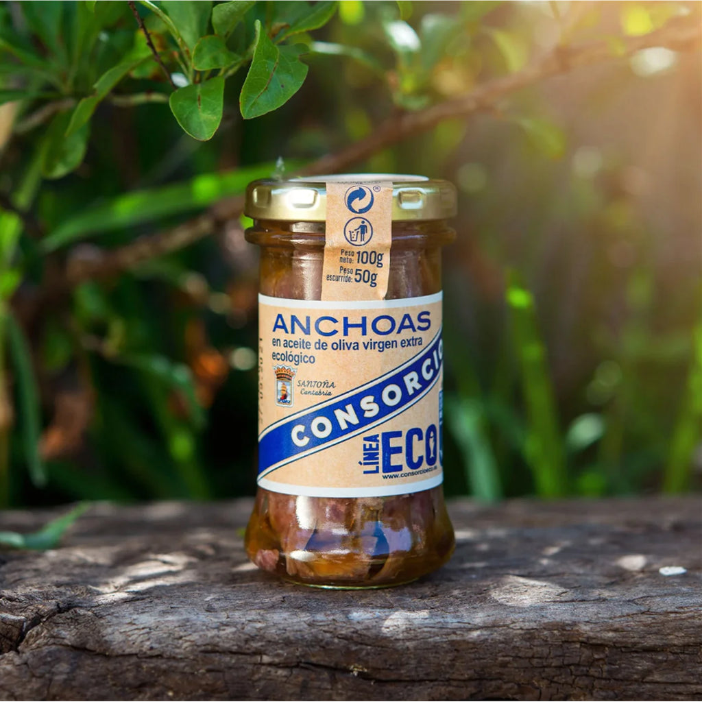 Consorcio Anchovies in Organic Extra Virgin Olive Oil 