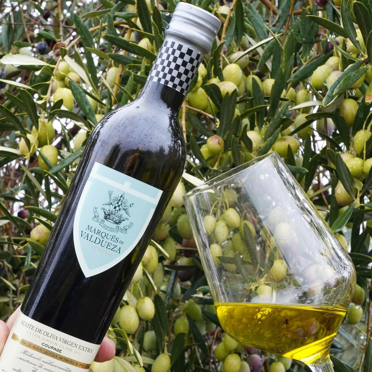 Olive Oil Extra Virgin