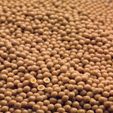 Crunchy Pearl Dulcey Blond 35% Cocoa 