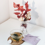 Tea Sachet Ume Ume 10's