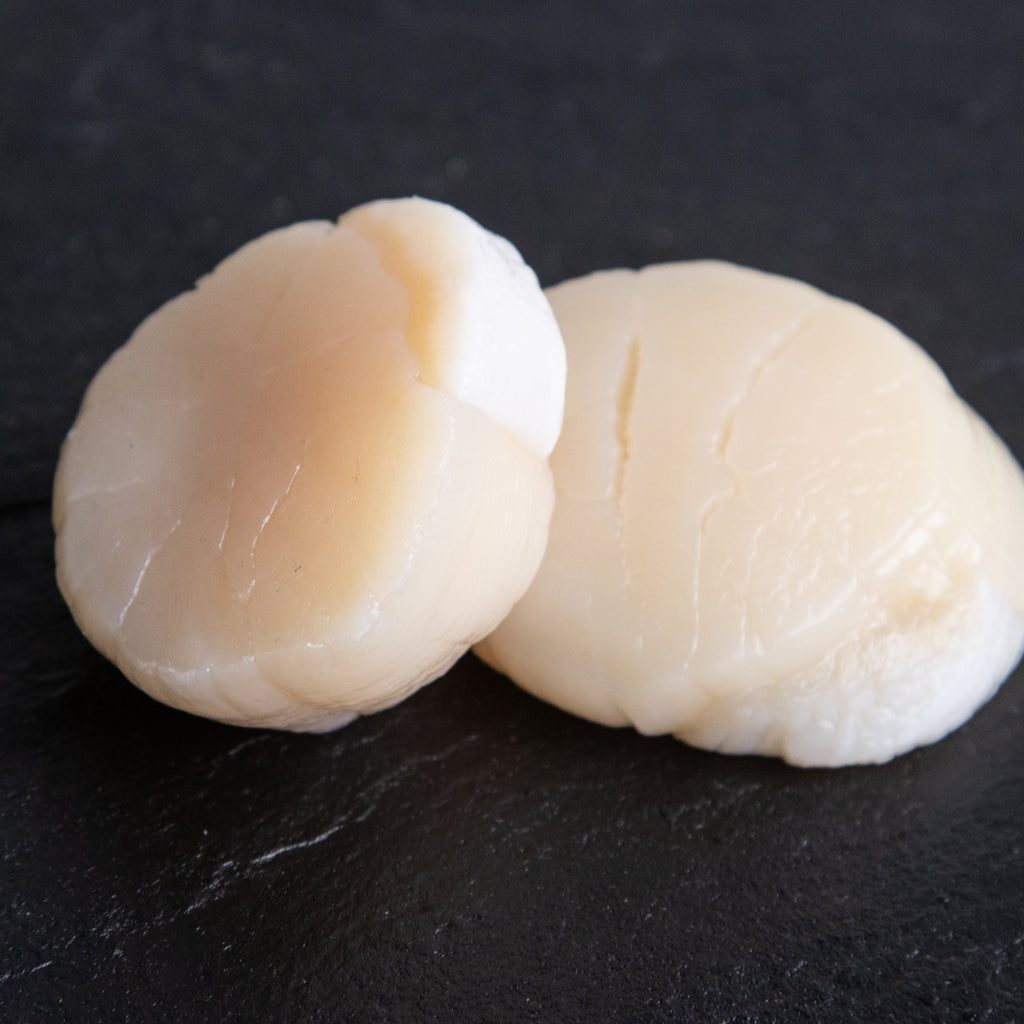Hokkaido Hotate (Scallop) Small 
