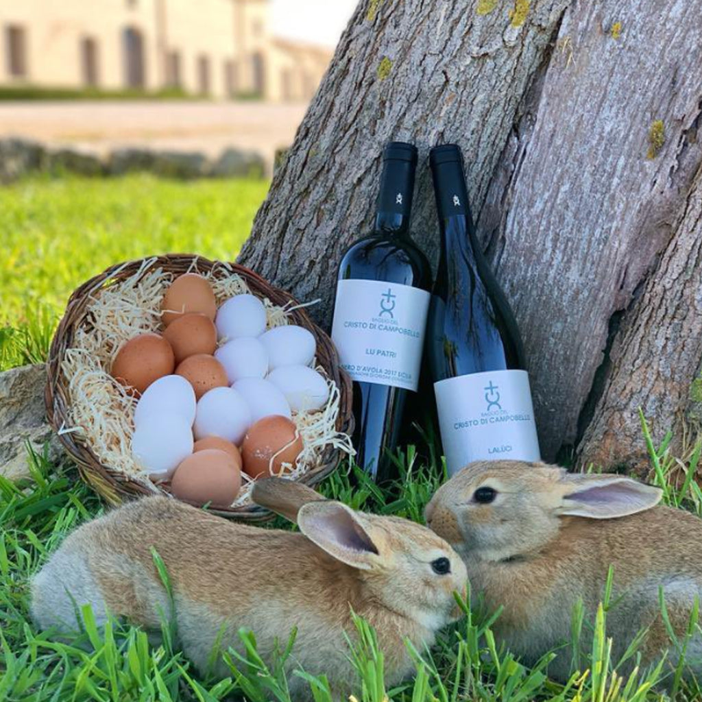 Campobello Lu Patri Nero D' Avola DOG Sicilia 2016